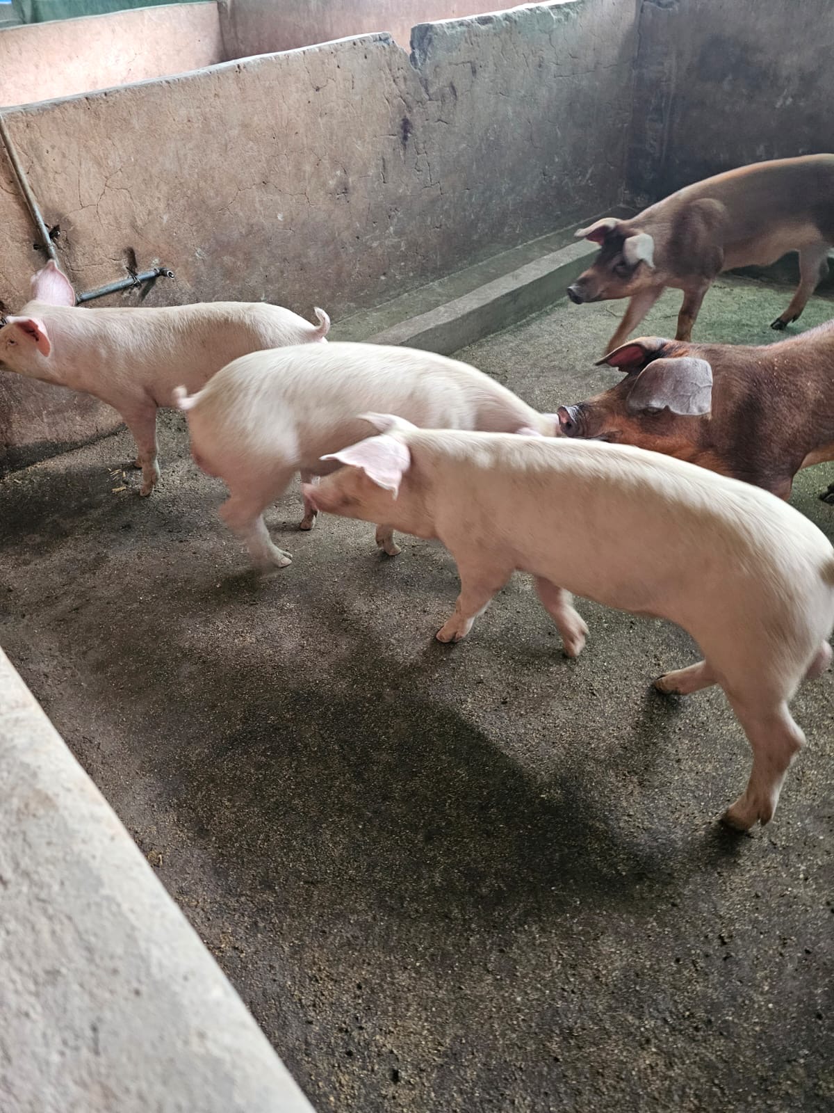 4ac1c0ab-9245-4e35-911b-ca55f1d95786