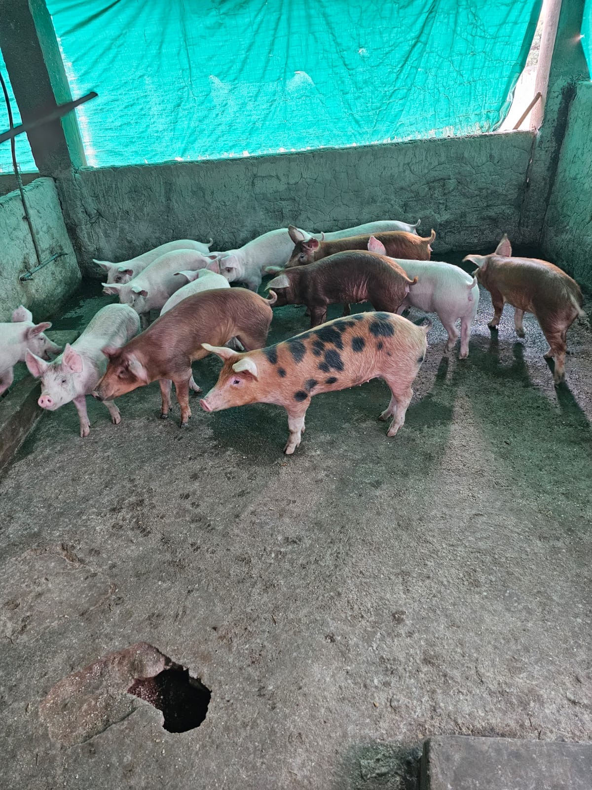 7cb23422-327b-4782-98ec-7620b0642f5d