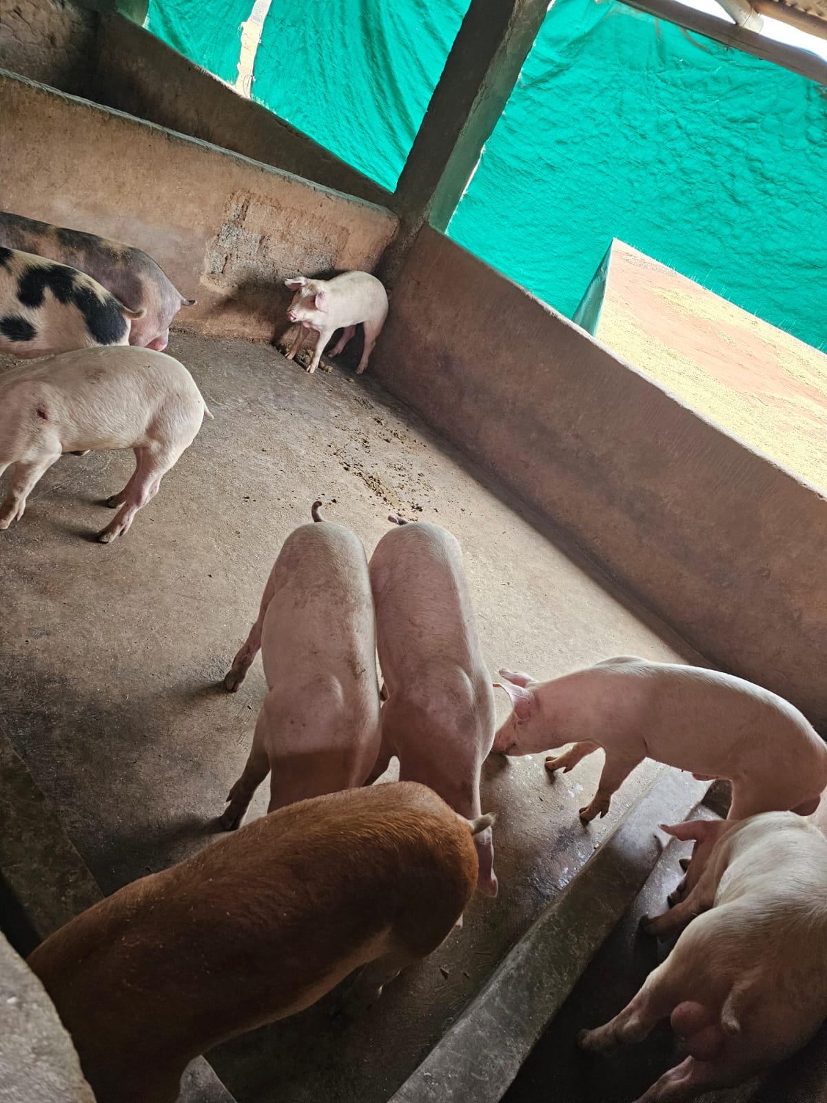 bce14da3-998f-42ce-ba0e-e4fe2fc0d710